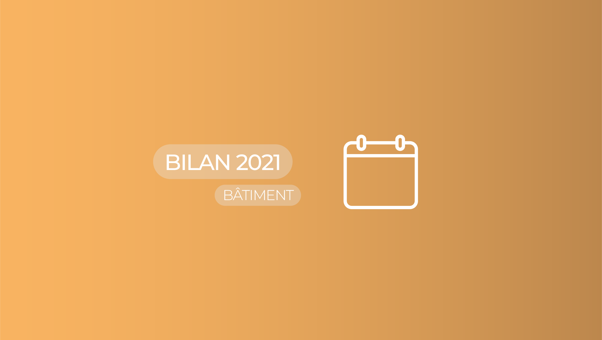 Illustration de l'article ayant pour sujet "Bilan de l'année 2021"